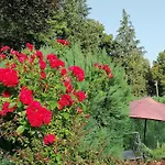 Le Domaine De Shania Landhaus Provenchères-sur-Fave