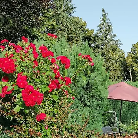 Le Domaine De Shania Casa di campagna Provenchères-sur-Fave
