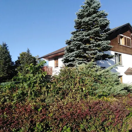 Le Domaine De Shania Provenchères-sur-Fave