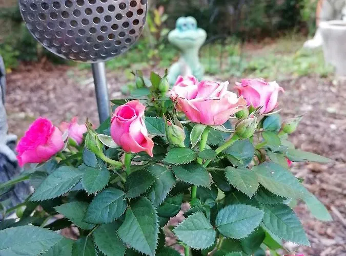 Le Domaine De Shania Country house *