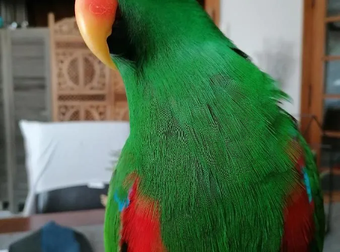 Country house Le Domaine De Shania Provencheres-sur-Fave